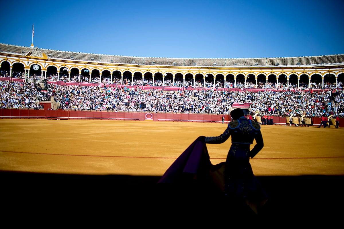 Los efectos deseducadores de las corridas de toros | Cultura