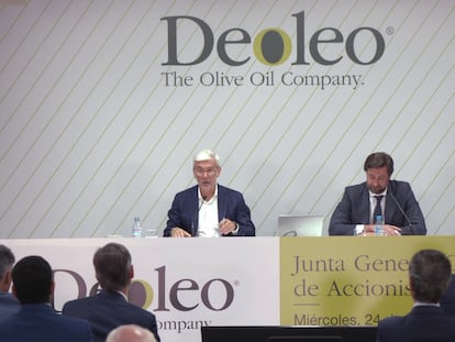 El presidente de Deoleo, Ignacio Silva, en su intervención en la última junta de accionistas de la compañía.
