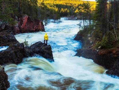 Parque Nacional de Oulanka.