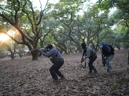 Un grupo de autodefensas durante un enfrentamiento en una huerta de aguacate en Michoacán.