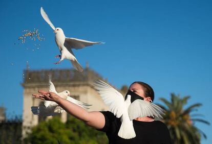 Una mujer lanza comida a las palomas en el parque de María Luisa de Sevilla (España).