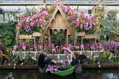 Varias empleadas colocan orquídeas durante los preparativos para la celebración del Festival de la Orquídea en los Kew Gardens (Londres).