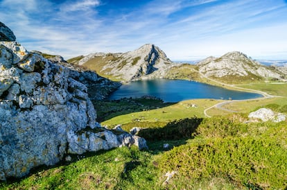 Un parque nacional: Picos de Europa. Compartido por tres comunidades autónomas (Asturias, Castilla y León y Cantabria), presume de ser el más antiguo de los espacios naturales protegidos del país. También es uno de los más visitados: más de 1.800.000 personas se animan cada año a subir a sus montañas o pasear por sus bosques de encinas, robles y hayas o prados alpinos, atravesados por una extensa red de rutas de senderismo. Este parque, además, es uno de los mayores conjuntos kársticos de Europa, con simas de más de 1.000 metros, glaciares imponentes y lagos de alta montaña. Con suerte, entre sus riscos se pueden ver rebecos, y en sus densos bosques habitan corzos, lobos y osos. Entre los parques nacionales mejor valorados en la encuesta también figuran los de Aïgues Tortes y Lago San Mauricio (Lleida), el parque nacional del Teide (Tenerife) y el de las Islas Atlánticas (Coruña y Pontevedra).
