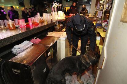 Ari, el perro policía, controla junto a su guía el interior de la barra. Para el supone un juego. Durante el registro a este local no se encontró ninguna sustancia ilegal.