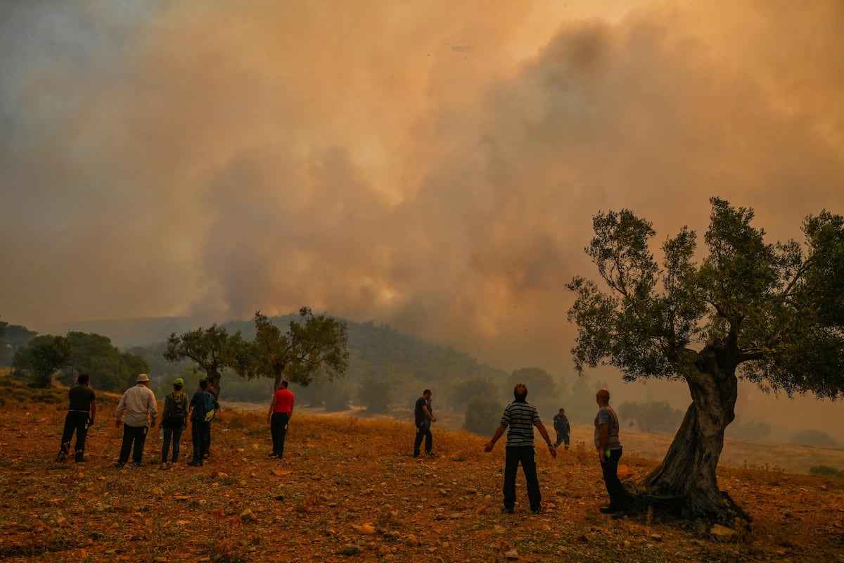 It’s hot: the human species is at stake