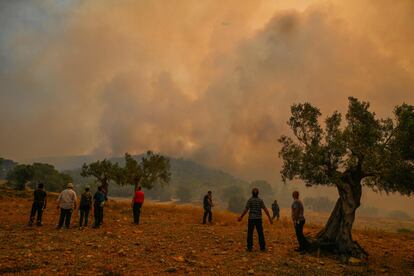 Incendios cerca de Atenas como consecuencia del calor extremo, en julio de 2023.