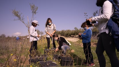 Un grupo de jóvenes planta un árbol en la localidad cordobesa de Montilla.