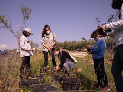 Un grupo de jóvenes planta un árbol en la localidad cordobesa de Montilla.