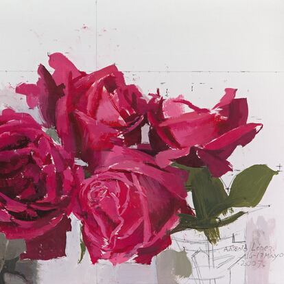 Obra 'Rosas rojas', de Antonio López de 2007. Óleo sobre papel conqueror verjurado.