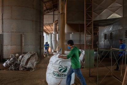 Operarios en una planta de procesamiento de soja en Sinop, Mato Grosso, Brasil. Esta región es el corazón del agronegocio brasileño, el único sector económico que creció en 2020 pese a la pandemia.