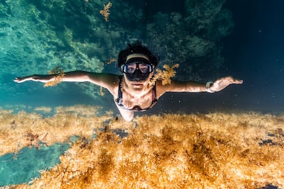 Cenote en la península de Yucatán Camila Jaber