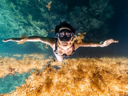 La apneísta mexicana Camila Jaber en un cenote en la península de Yucatán.