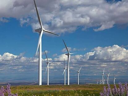 Parque eólico de Iberdrola.