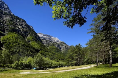 Camping Pineta, en el valle homónimo del Pirineo aragonés.