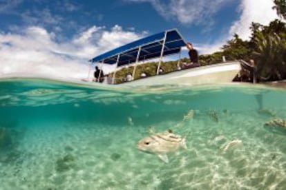 Embarcación con buceadores en Taveuni Island, en las Fiji.