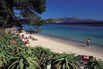 En abril, el agua de playas mediterráneas como la de Formentor, en Mallorca, está lo bastante templada como darse un chapuzón.