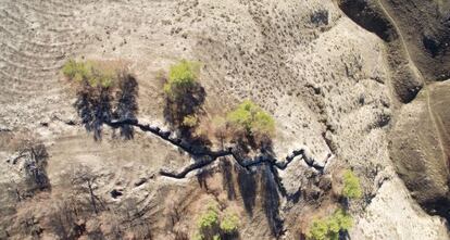 Vista aérea tomada desde un dron de las trincheras de la batalla del Jarama, en Rivas Vaciamadrid.