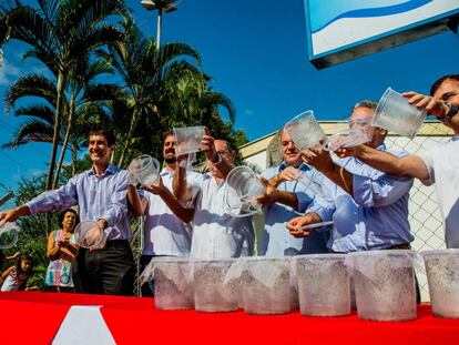 Primera liberaci&oacute;n de mosquitos transg&eacute;nicos en Piracicaba (Brasil).