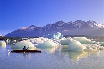 Glaciares (Alsek y Grand Plateau Bay) con montañas majestuosas como telón de fondo es el impresionante paisaje que recibe a los viajeros al llegar al lago Alsek, en la costa pacífica de Alaska, desde el río homónimo, que nace en Canadá. El lago delimita, por el oeste, la reserva de la Bahía de los Glaciares, parque nacional estadounidense que protege más de un millón de hectáreas de montañas, glaciares en movimiento, costa salvaje y profundos fiordos. Las empresas de turismo activo que operan en la zona animan a los navegantes a remar entre los icebergs gigantes que flotan en sus aguas cuando el tiempo lo permite.