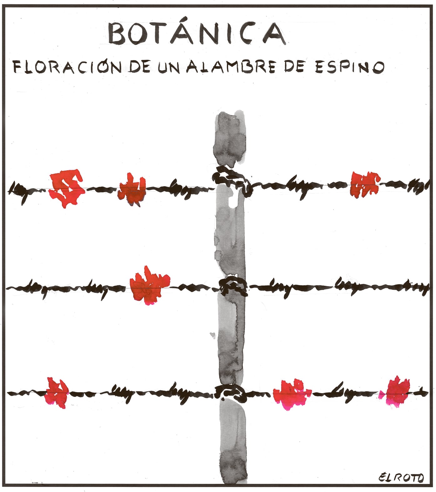 El Roto: flores y alambre