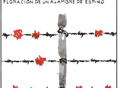 El Roto: flores y alambre