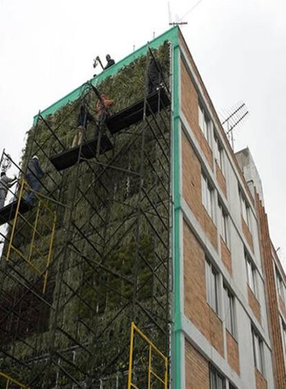 Un grupo de hombres trabaja en la instalación de un jardín vertical en un edificio de Ciudad de México.