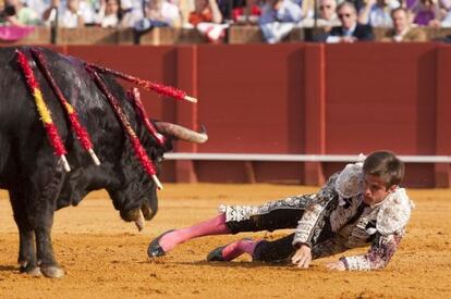 El Juli, herido delante del toro.