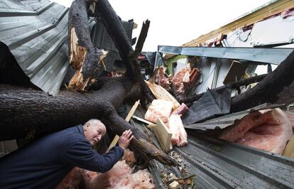 Un vecino de Wellington, en Nueva Zelanda, inspecciona los daños en una casa de su vecindario después de que un árbol se rompiese debido a una tormenta, chocando contra un dormitorio.)