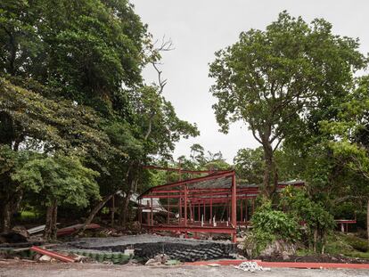 Crecer una casa en el bosque