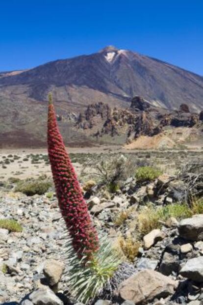 Parque Nacional del Teide.