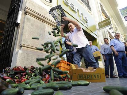 Un agricultor protesta en mayo de 2011 ante el Consulado alem&aacute;n en Valencia por la crisis de los pepinos