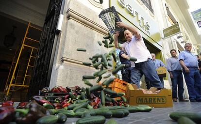 Un agricultor protesta en mayo de 2011 ante el Consulado alem&aacute;n en Valencia por la crisis de los pepinos