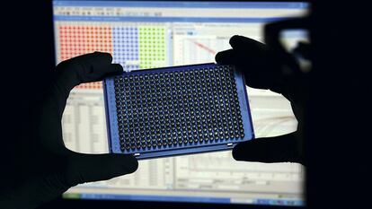 Un investigador en un laboratorio de biología molecular perteneciente al CSIC. 