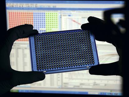 Un investigador en un laboratorio de biología molecular perteneciente al CSIC.