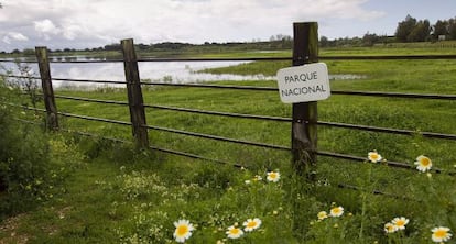 Doñana National Park, near Huelva, in April 2013.