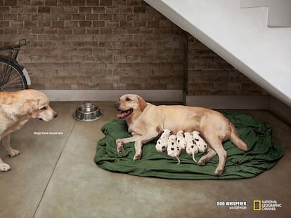 National Geographic