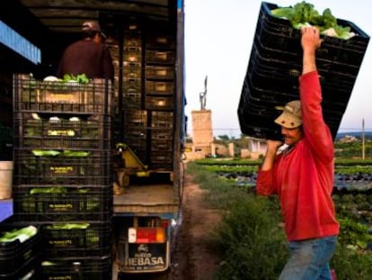 Campesinos mallorquines en una recogida de su cosecha en 2009.