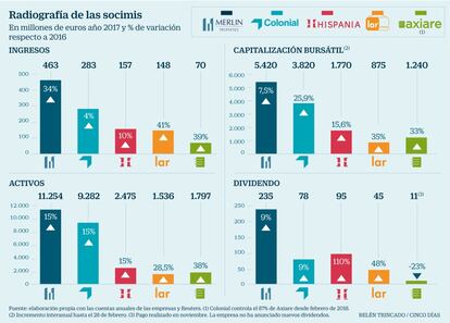 Socimis datos