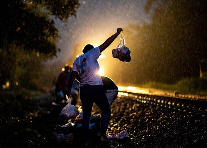 Un voluntario de  la ONG Las Patronas distribuye bolsas de comida entre los migrantes antes de proseguir su viaje en 'La Bestia', en las vías de tren de Veracruz (México).