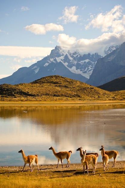 Torres del Paine, Patagonia chilena.