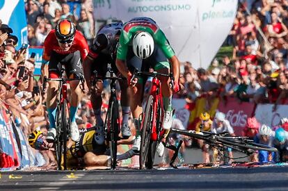Mads Pedersen cruza la meta en la 16ª etapa de la Vuelta a España el primero, mientras Primoz Roglic está en suelo tras su caída.