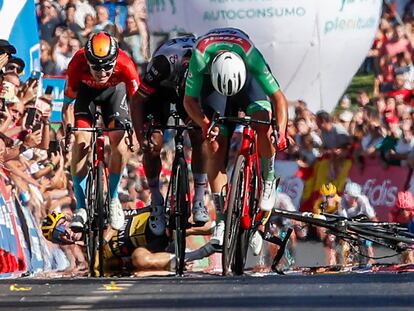 Mads Pedersen cruza la meta en la 16ª etapa de la Vuelta a España el primero, mientras Primoz Roglic está en suelo tras su caída.