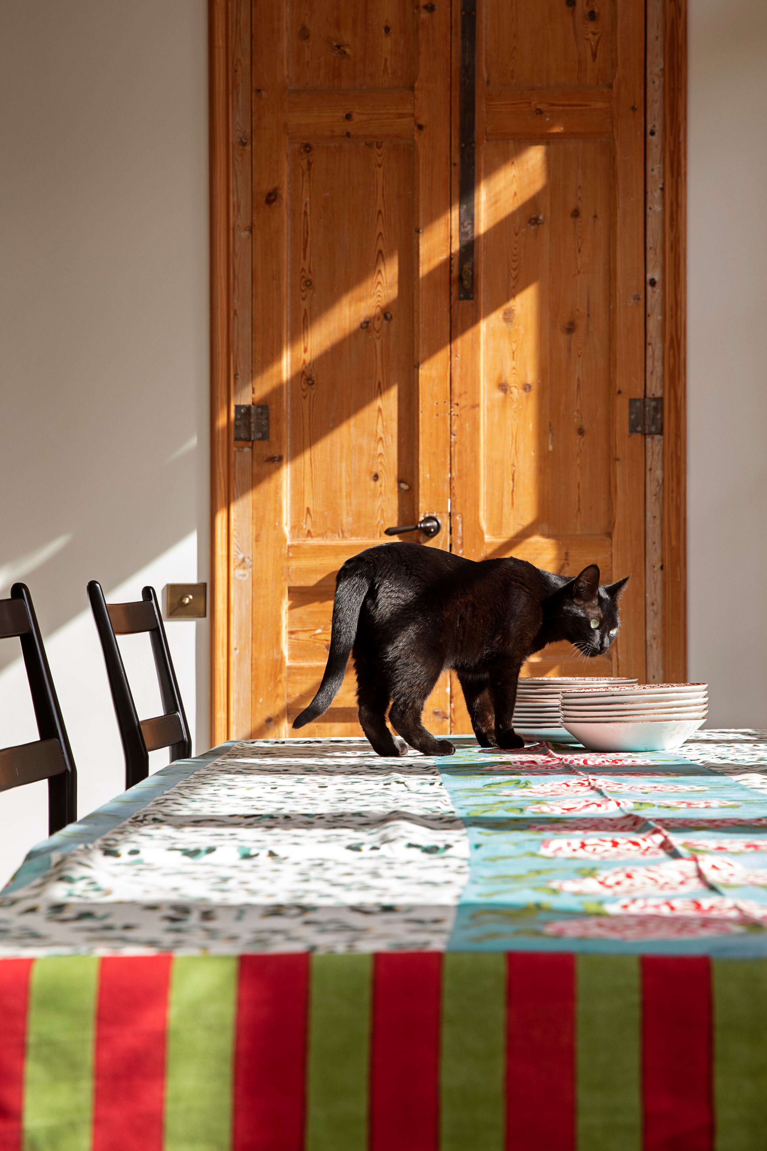 La gata 'Luna' pasa revista a la mesa, vestida con el mantel Leopard Stripes, de Lisa Corti.