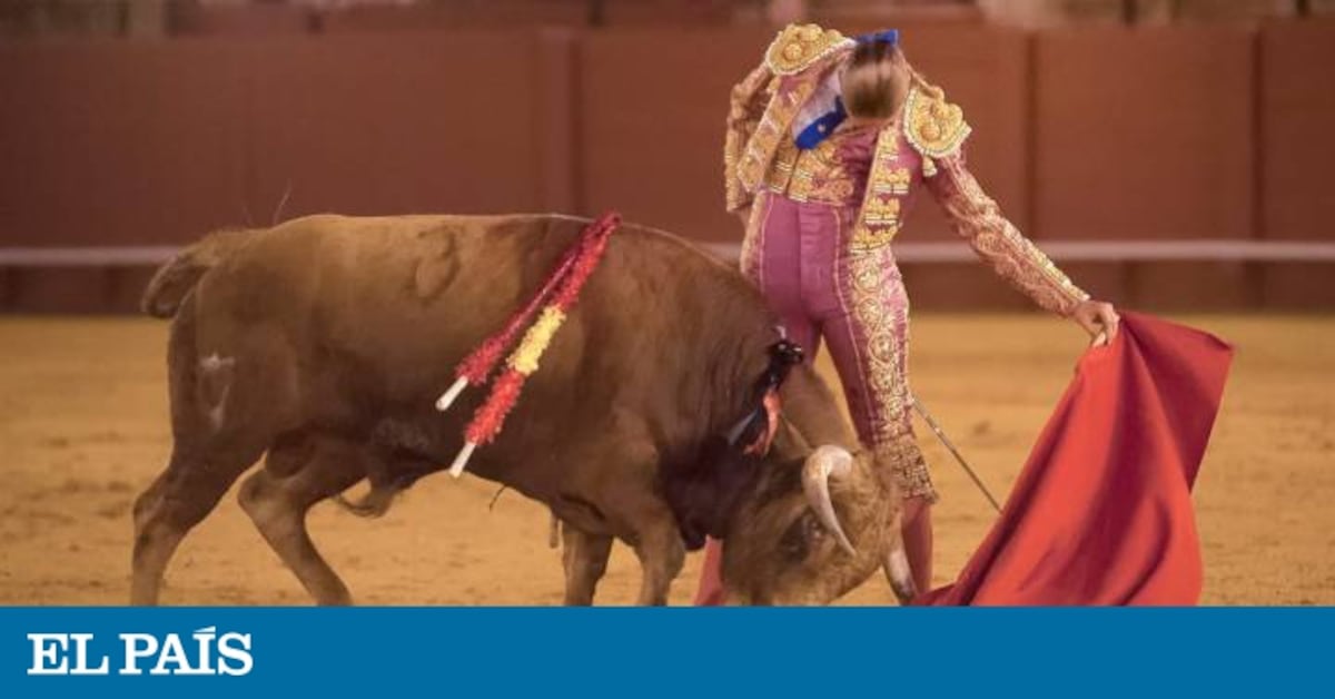 Rocío Romero, torera por vocación: “Siento que el toro me ha elegido a ...