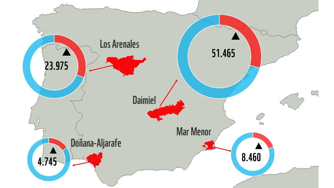 Agua extraída de forma ilegal en los cuatro acuíferos investigados (WWF).