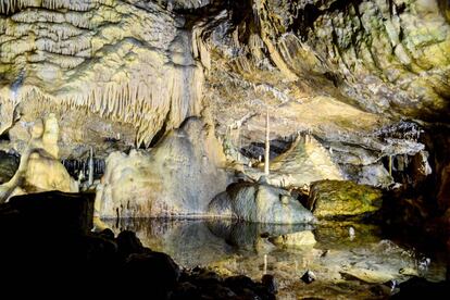 La Unesco ha anunciado la incorporación de 13 nuevas zonas a su red de geoparques mundiales, áreas representativas de la estructura geológica del planeta, ya que permiten conocer los acontecimientos geológicos que han dado forma a la Tierra desde su origen. Entre los 13 nuevos geoparques se encuentra el de Famenne-Ardenne, de 911 kilómetros cuadrados y ubicado al sur de Bélgica, en cuyo paisaje son perfectamente visibles tres partes: el área de Famenne, situada al norte; la región de las Ardenas, al sur, y la comarca de la Calestienne, entre las dos zonas anteriores. En este territorio también son característicos los ríos subterráneos, dolinas y grutas admirables, como las del sistema de cuevas de Hotton (en la foto). Además, el agua calcárea de la zona es un ingrediente esencial para la fabricación de la famosa cerveza tradicional de la abadía trapense de Rochefort. Más información: <a href="http://www.geoparkfamenneardenne.be/" target="_blank">www.geoparkfamenneardenne.be</a>