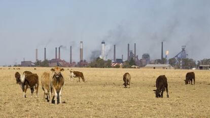 Granja junto a una zona industrial en Sud&aacute;frica. Vanderbijl Park refinery