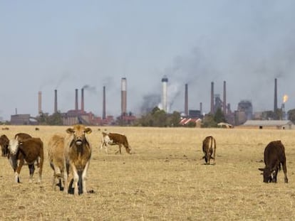 Granja junto a una zona industrial en Sud&aacute;frica. Vanderbijl Park refinery