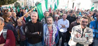 Los dirigentes sindicales Diego Cañamero (izquierda) y Juan Manuel Sánchez Gordillo, en una protesta en Granada en 2013.