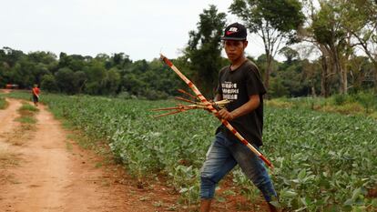 Pobladores de la comunidad de Hugua Po’i, en el este de Paraguay, regresan a casa atravesando plantíos de soja que están en sus tierras, en marzo de este año.